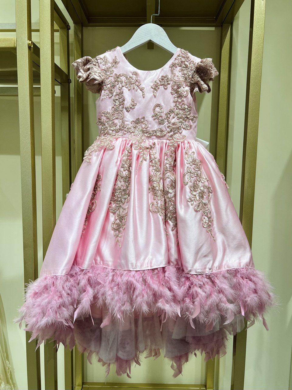 Blush Featherscape Dress