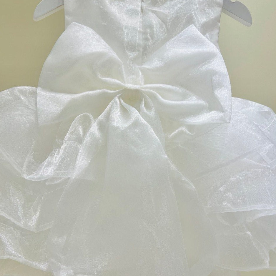 Radiant White Layered Tulle Dress with Back Bow
