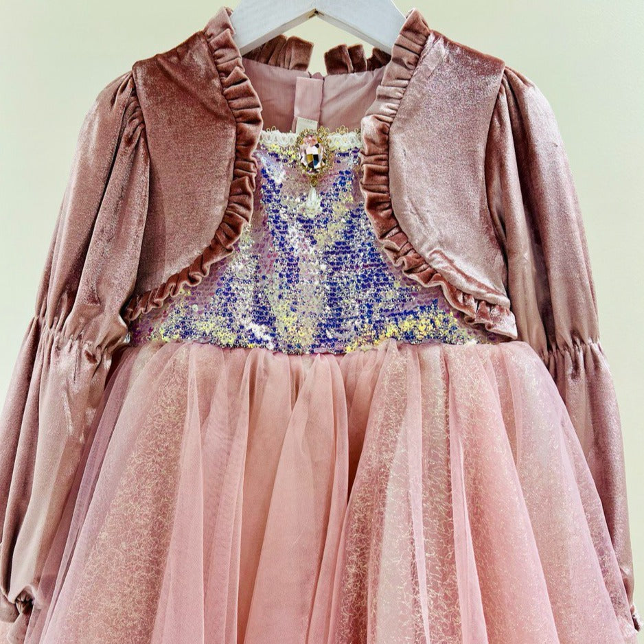 Magical Rose Pink Velvet Princess Dress