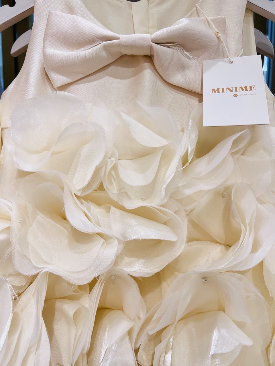 Pearl & Petal Blossom Party Dress
