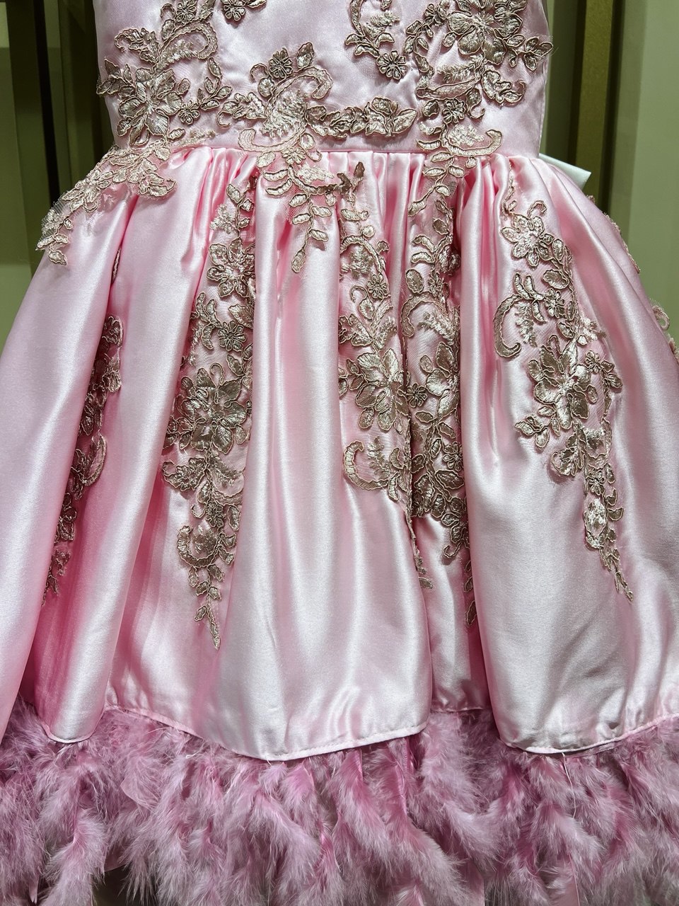 Blush Featherscape Dress