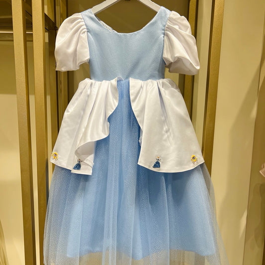 Cinderella Dress