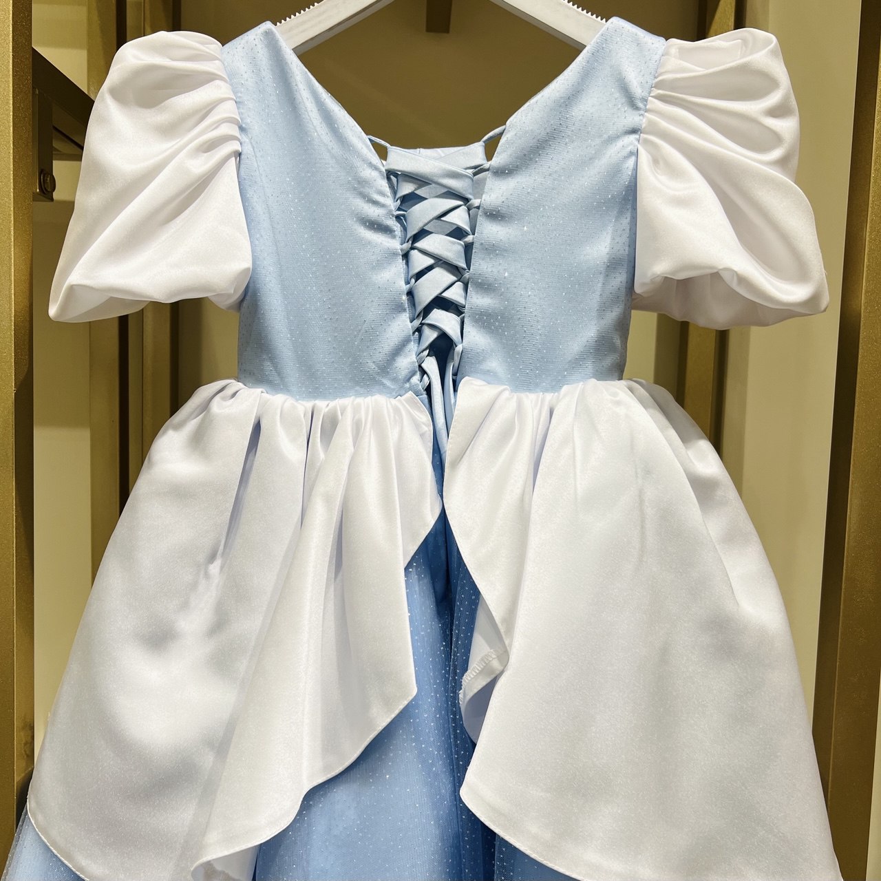 Cinderella Dress
