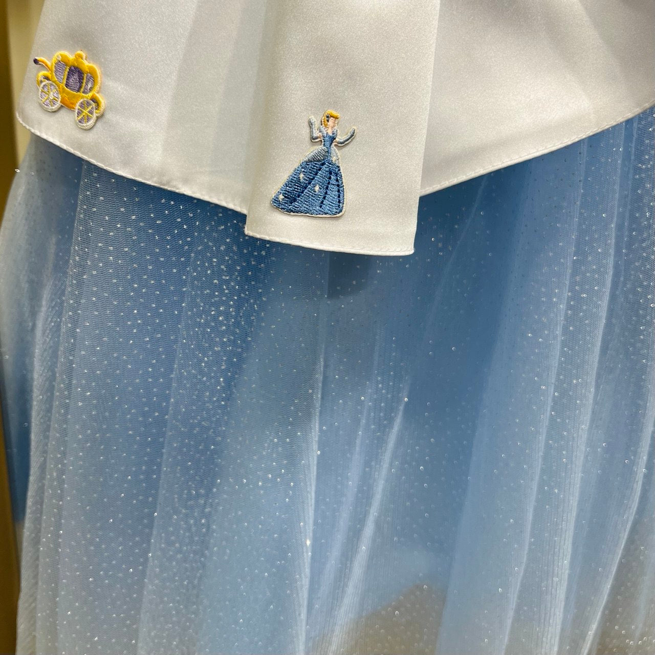 Cinderella Dress
