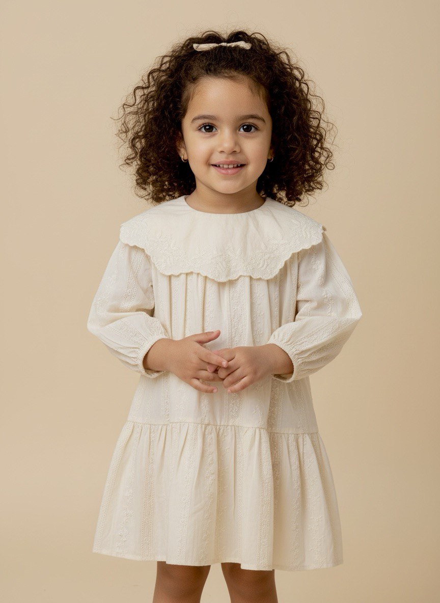 Delicate Cream Embroidered Long-Sleeve Dress