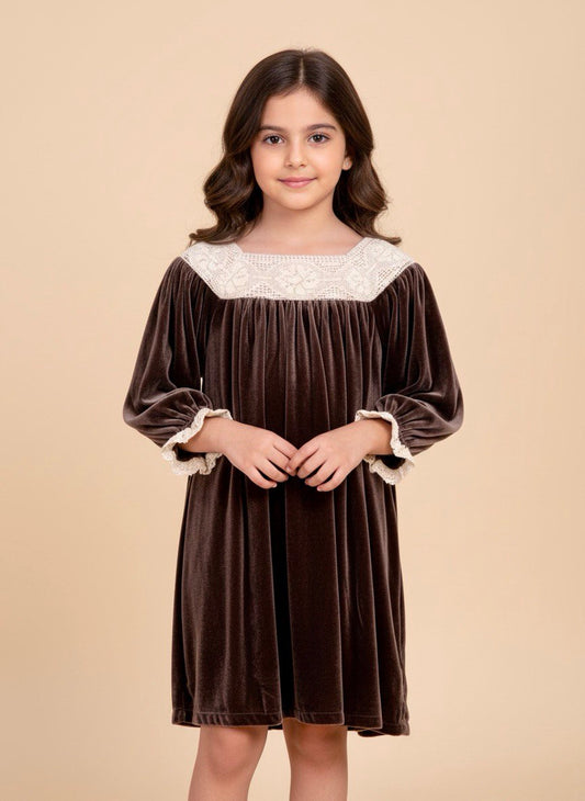 Vintage Velvet Lace Dress