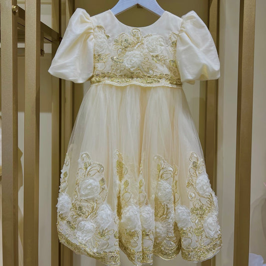 Yellow Dress with Gold Embroidery