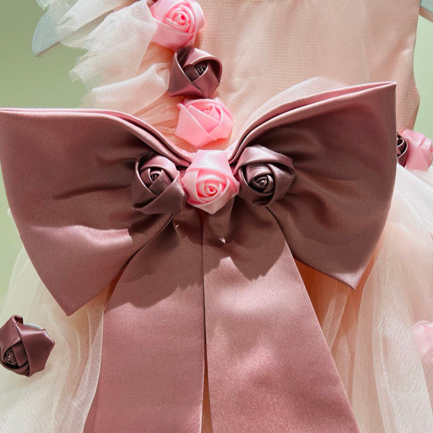 Baby Rose Dress with Ribbon on Silk Flowers